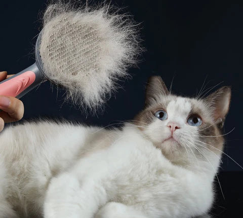 Escova para Cães e Gatos - Removedor de Pelos